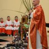 25.06.07_pentecostes_e_missa_sertaneja_027